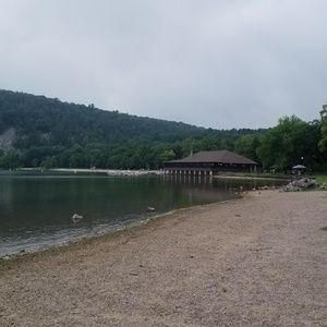 Meet your Posher, Adele